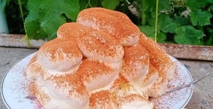 Lagani desert od domaćih piškota
